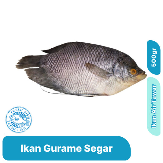 Ikan Gurame (1 kg)