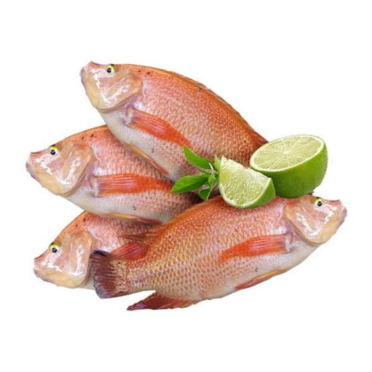 Ikan Nila