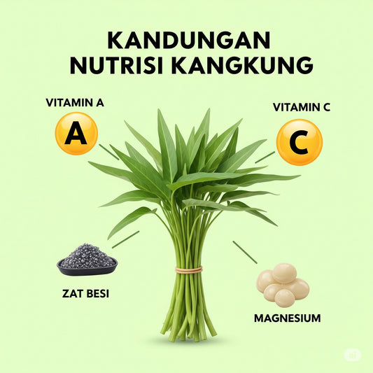 Kangkung