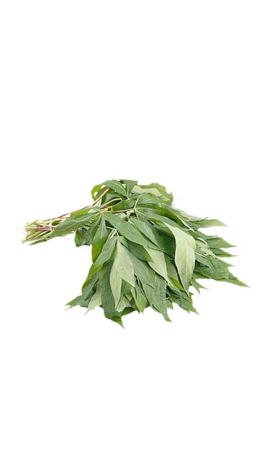 Daun Singkong
