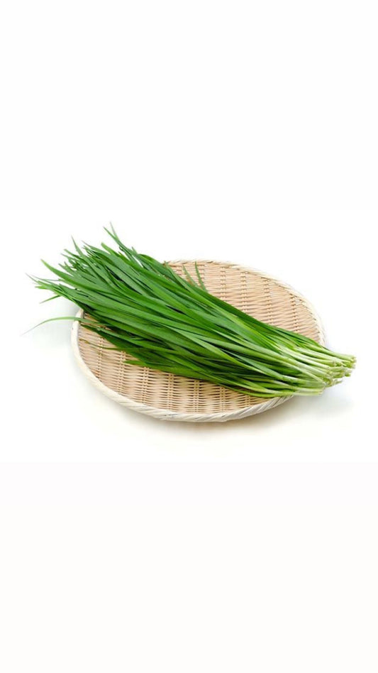 Daun Kucai