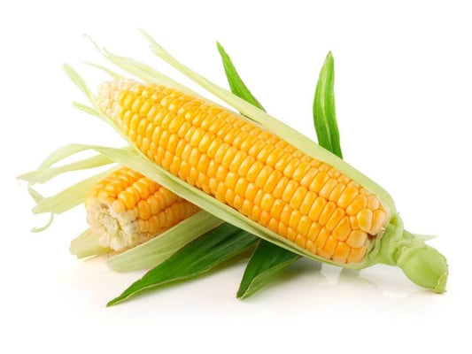 Jagung Manis