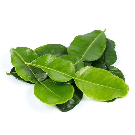 Daun Jeruk