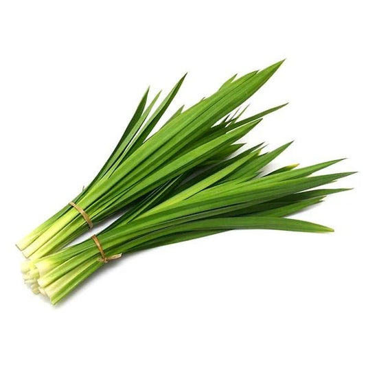 Daun Pandan Wangi