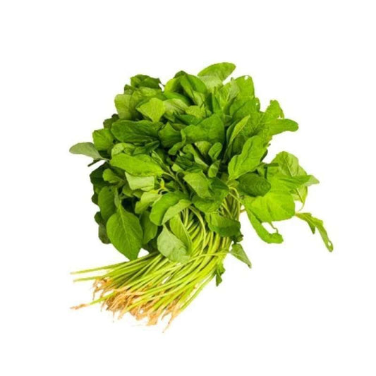 Bayam