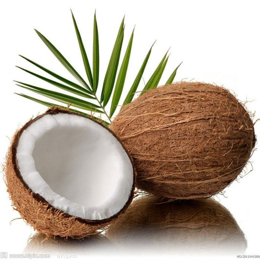 Kelapa