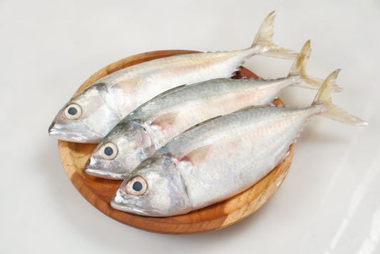 Ikan Kembung